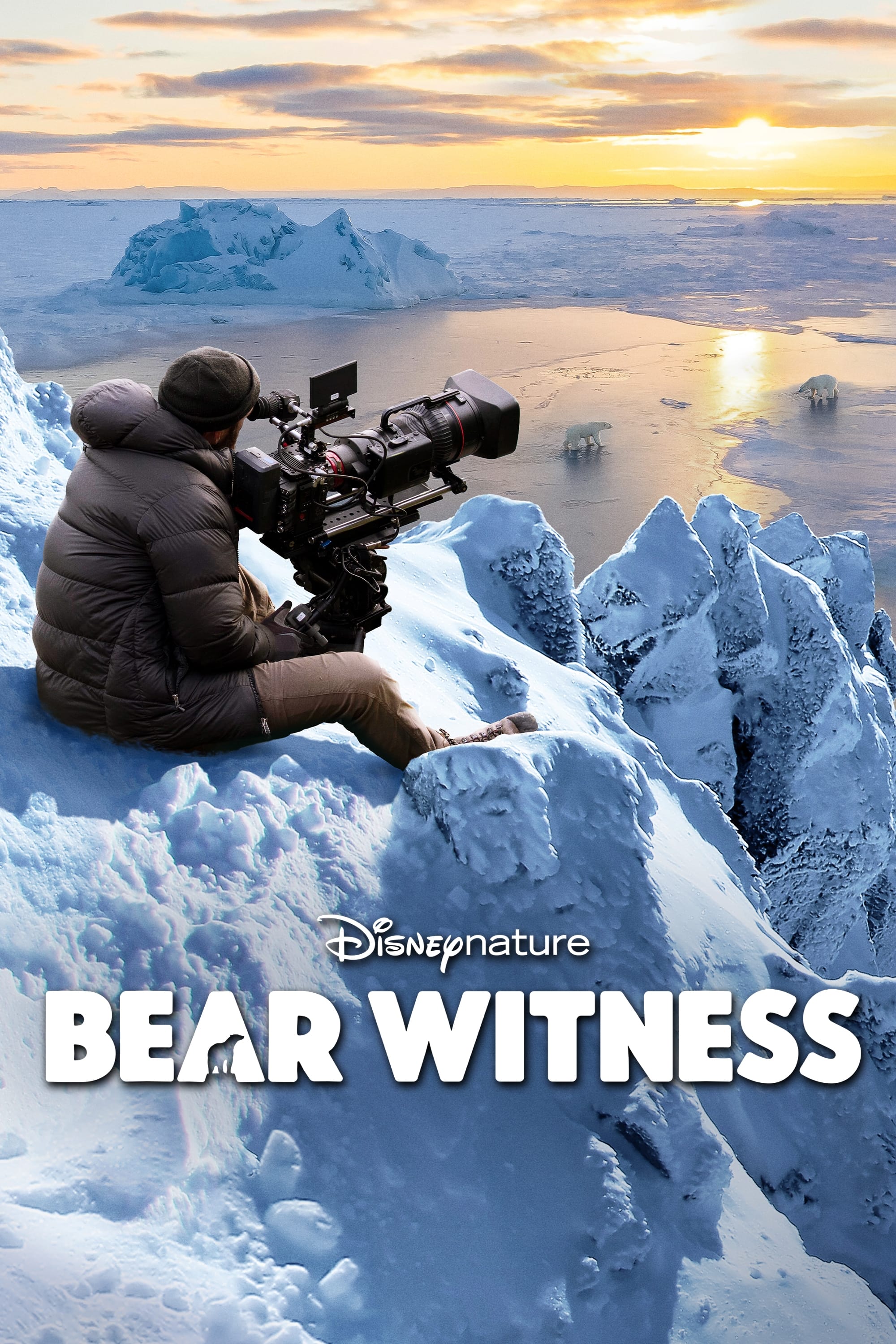 Постер Bear Witness